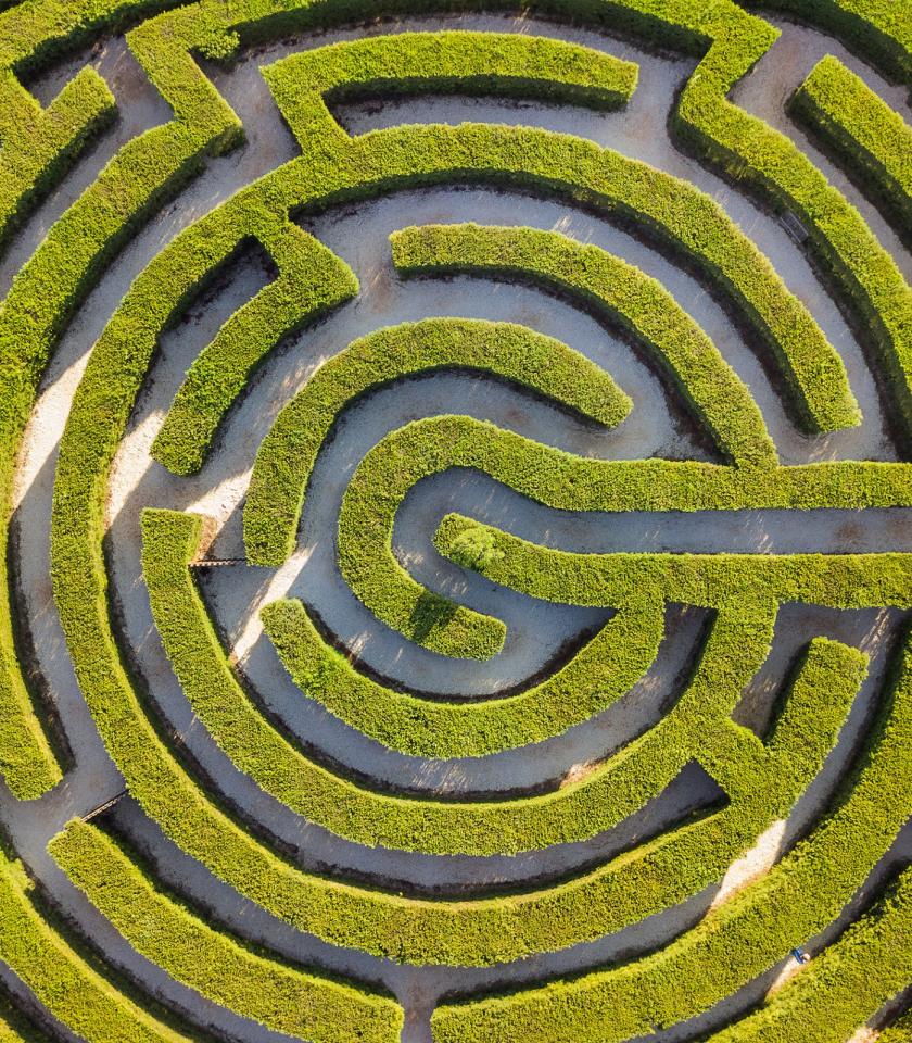 Maze